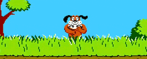 duck hunt dog